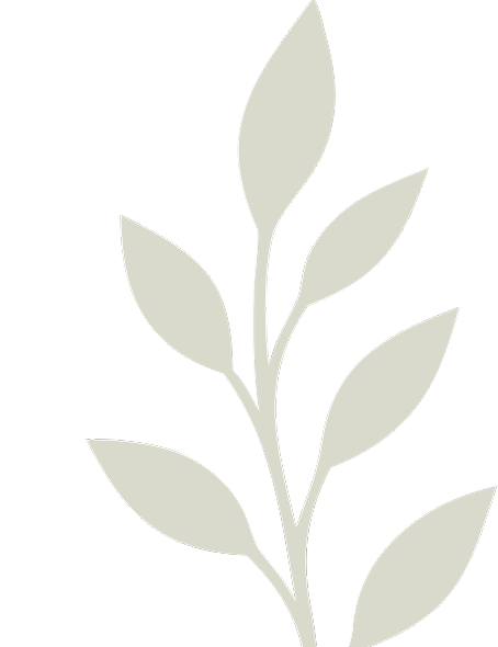 Vector (10) 1