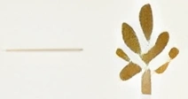 White background with a gold leaf and a stick, which is likely a photo of a toothpick
